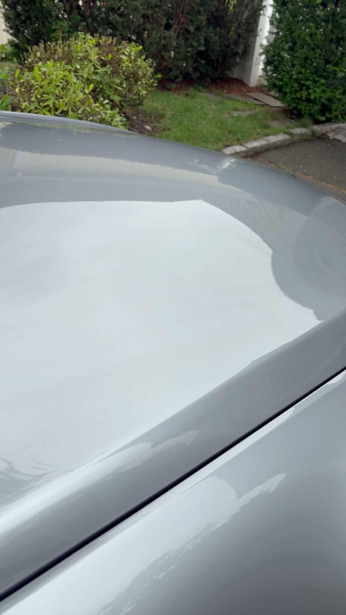 BMW 650i walk-around video after ceramic coating
