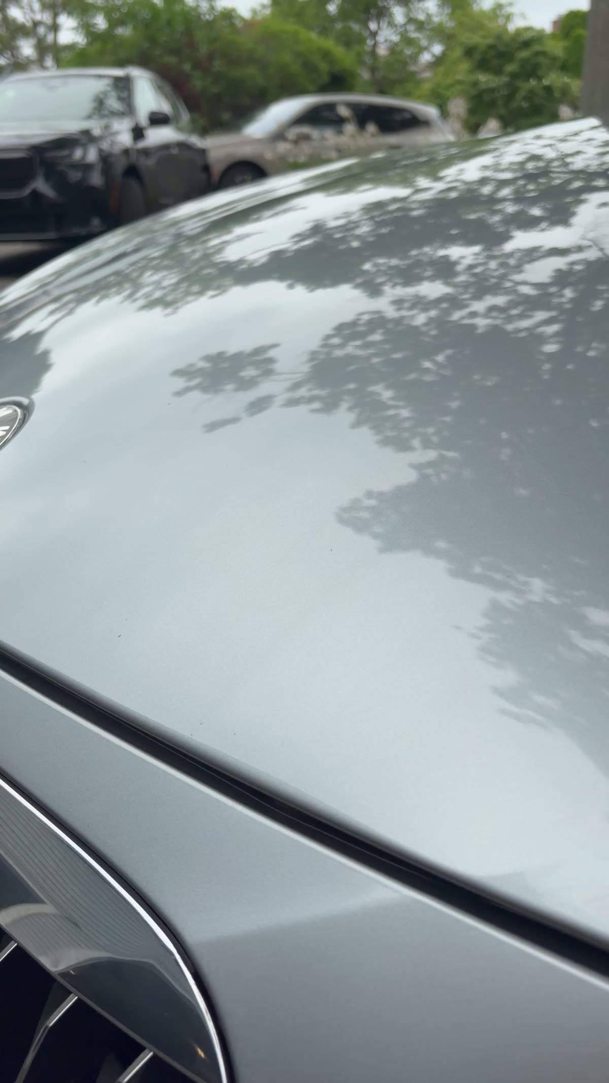 BMW 650i hood reflection video after paint correction